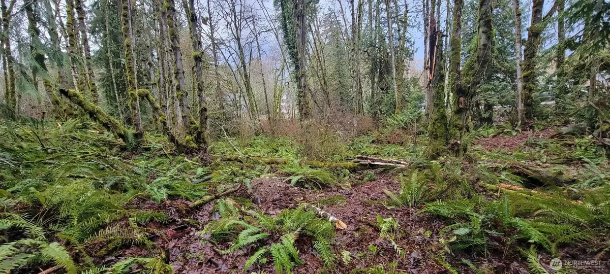 0 Nevada Ave & Michigan Street, Manchester, WA 98353 - #1