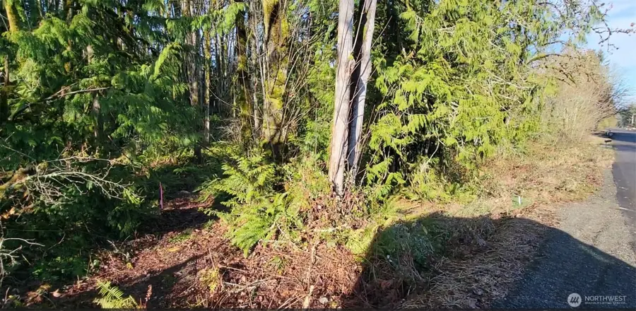 0 Nevada Ave & Michigan Street, Manchester, WA 98353 - #2