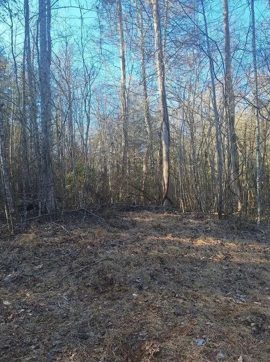 lots Mill Creek Acres, Blue Ridge, GA 30513
