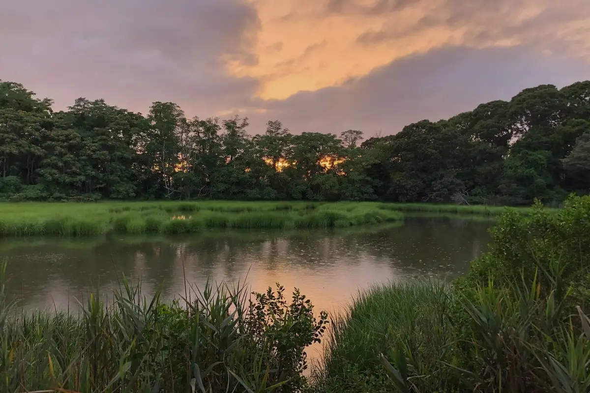 9 Helens Lane, Southampton, NY 11968 - #1