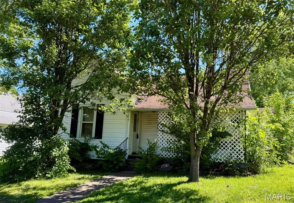 412 Monroe Street, Desloge, MO 63601 - #1