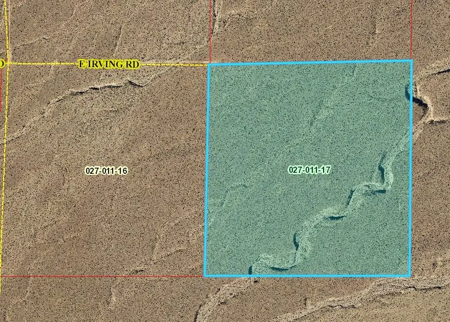 371 Irving Rd, Pahrump, NV 89041 - #2