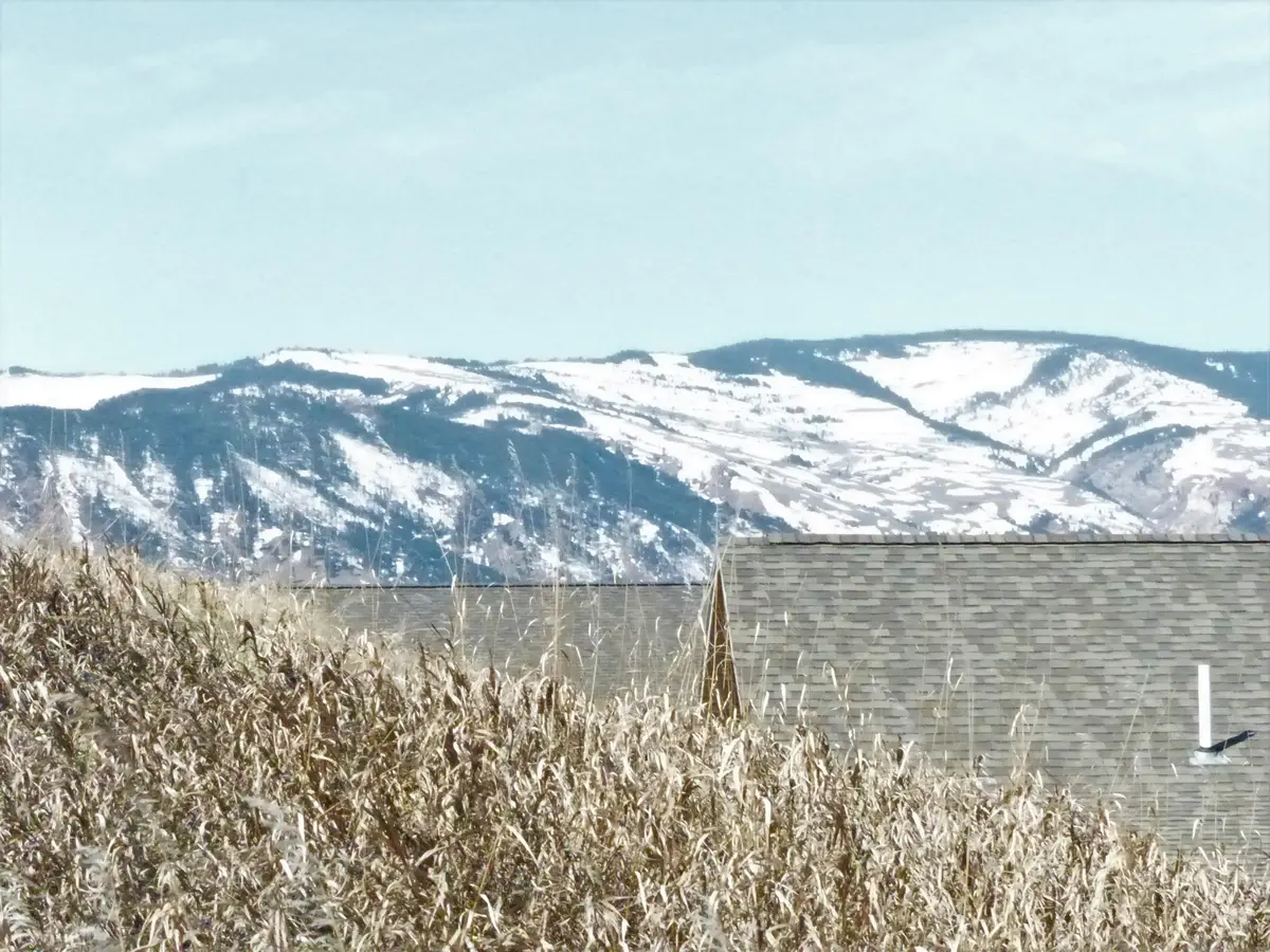 24 Black Mountain Drive, Dayton, WY 82836 - Image #1