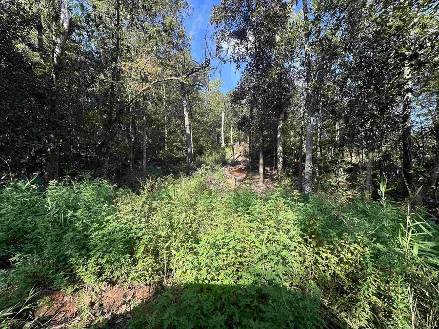 Lot 6 Kant Circle, Quincy, FL 32351 - Image #2