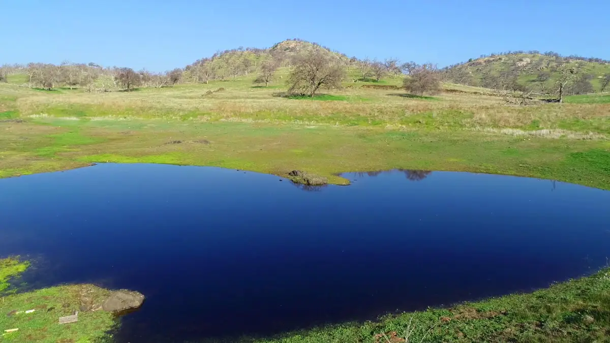 6147 Indian Gulch, Mariposa, CA 95338 - Image #1