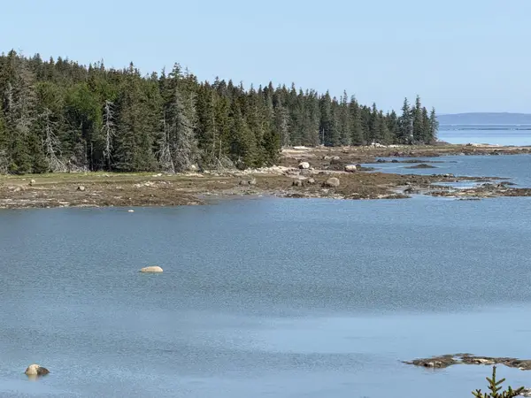 0 Jericho Bay Road, Swans Island, ME 04685