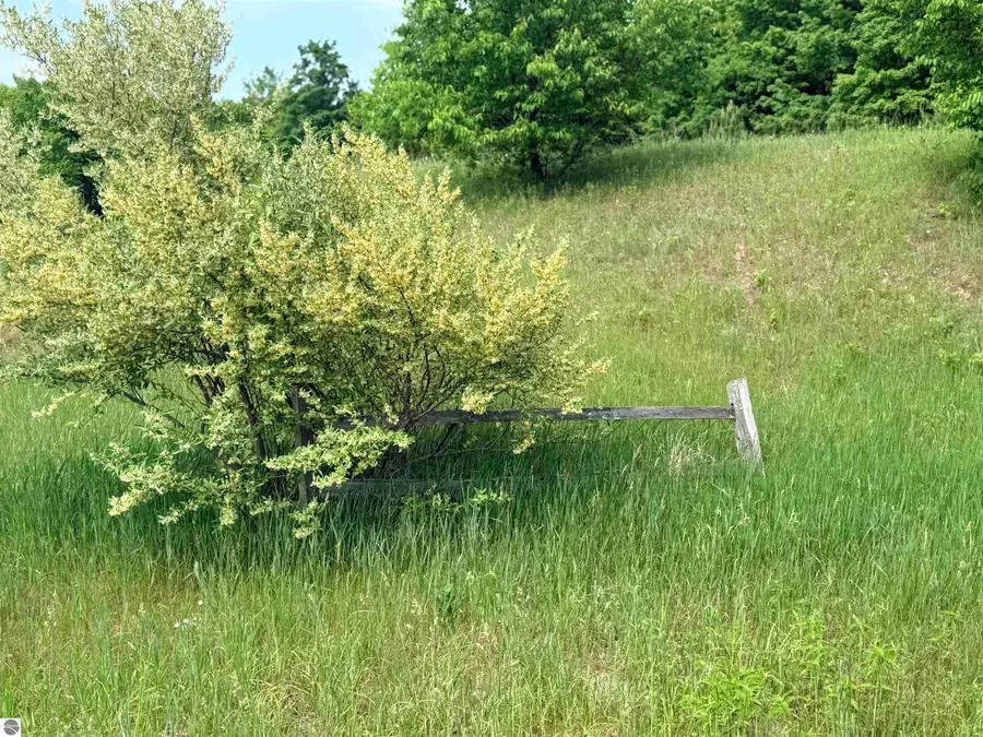 00 W Sleepy Valley, Empire, MI 49630 - #2