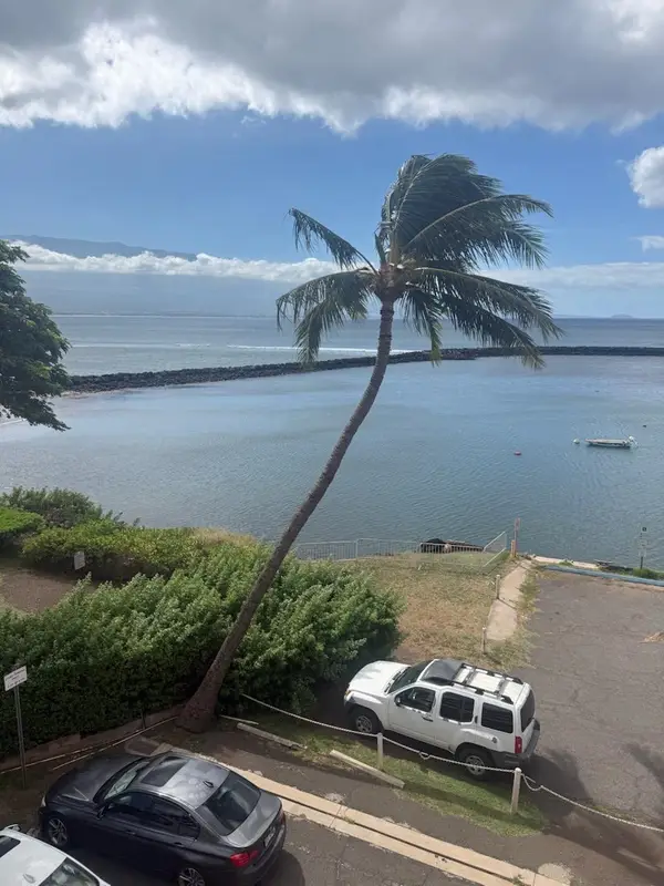 20 Hauoli St #312, Wailuku, HI 96793