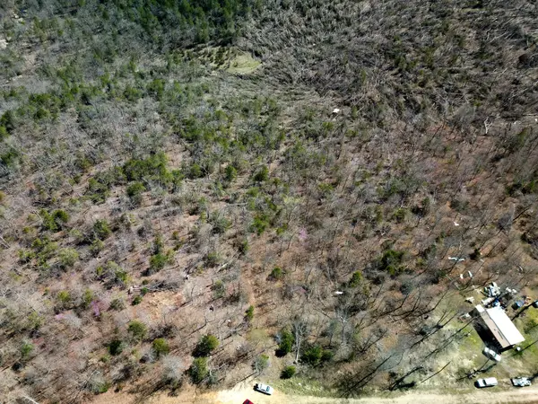 Lot 1 Deer Meadows Lane, Yellville, AR 72687