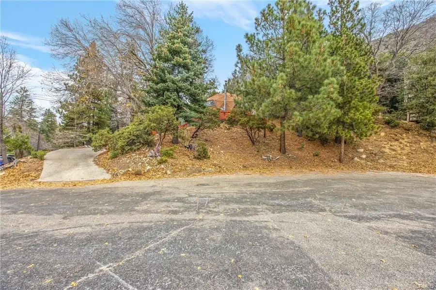 6461 Cedar Avenue, Angelus Oaks, CA 92305 - #3