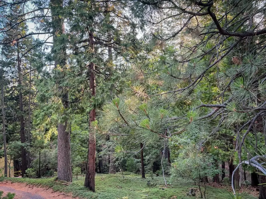 1800 Kit Carson Circle, Arnold, CA 95223 - Image #2