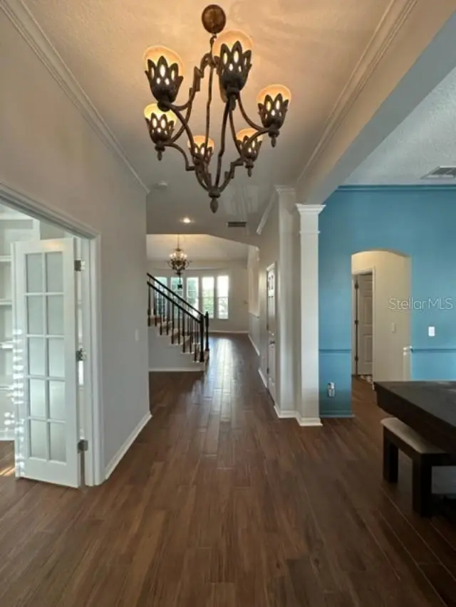 307 Norfolk Street, Celebration, FL 34747 - #3