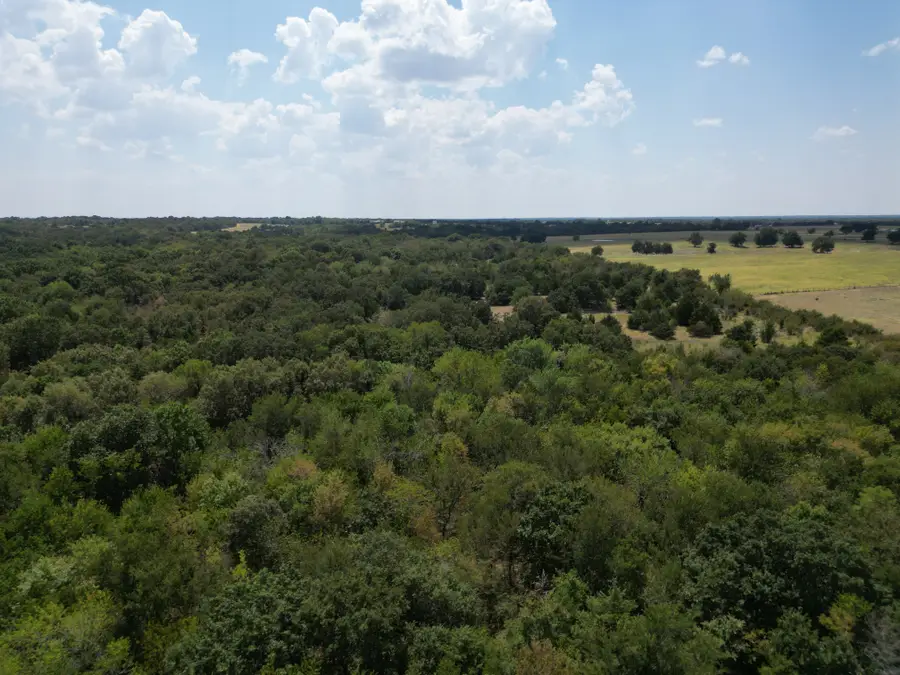 85 ac County Road 1019, Celeste, TX 75423 - #2
