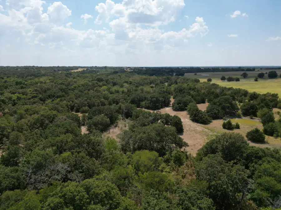 85 ac County Road 1019, Celeste, TX 75423 - #3