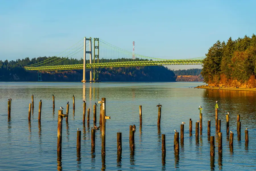 8802 6th Avenue, Tacoma, WA 98465 - #3