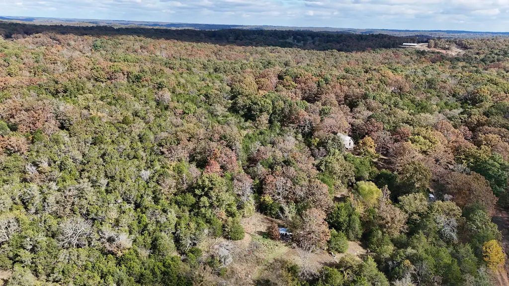 40 Squirrel Road #acres, Imboden, AR 72434 - Image #1