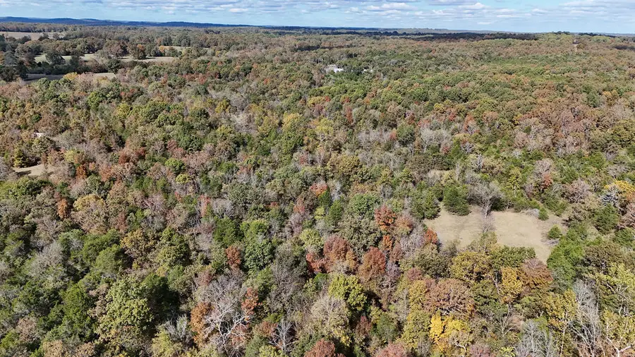 40 Squirrel Road #acres, Imboden, AR 72434 - Image #3