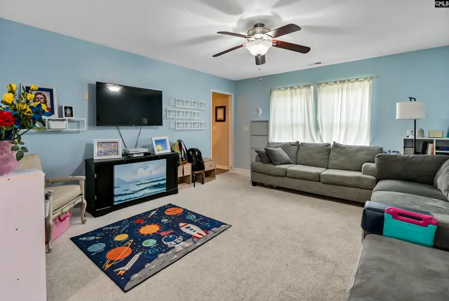 116 Wingspan Way, Chapin, SC 29036 - #3