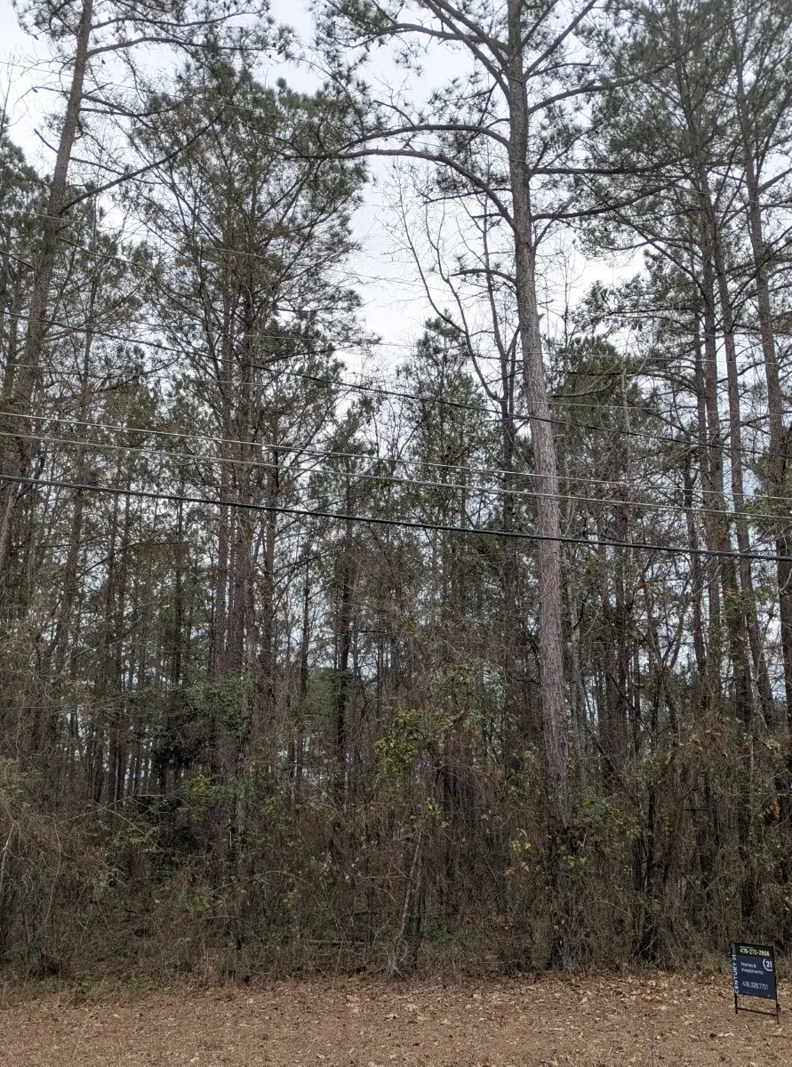 841 Chisholm Trail, Macon, GA 31220 - #3