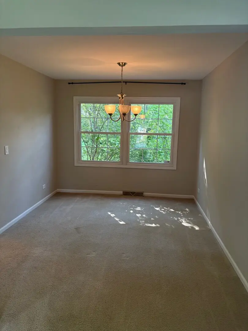 1613 Clyde Drive, Naperville, IL 60565 - #3