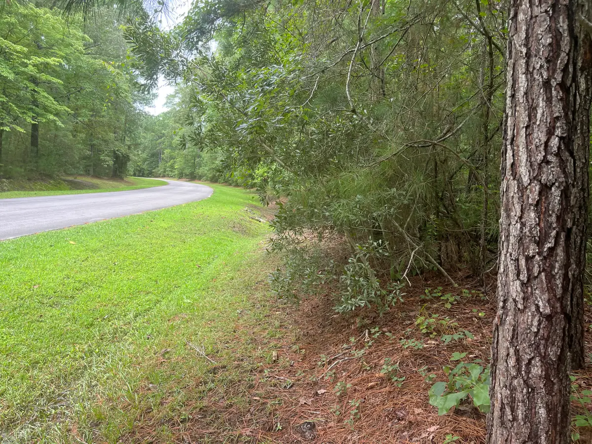 129 Winding Creek Drive, Oriental, NC 28571 - Image #1