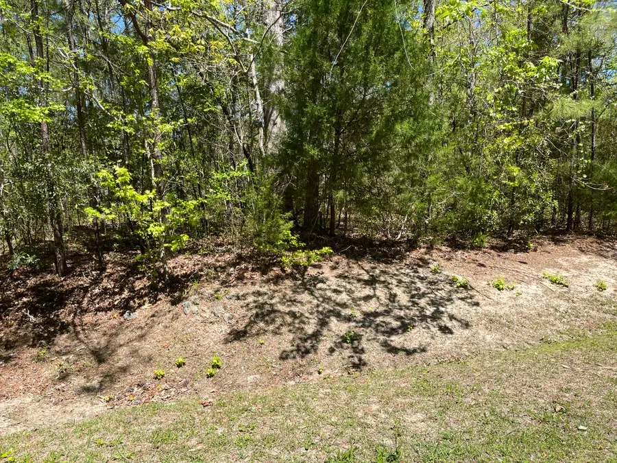 129 Winding Creek Drive, Oriental, NC 28571 - Image #2