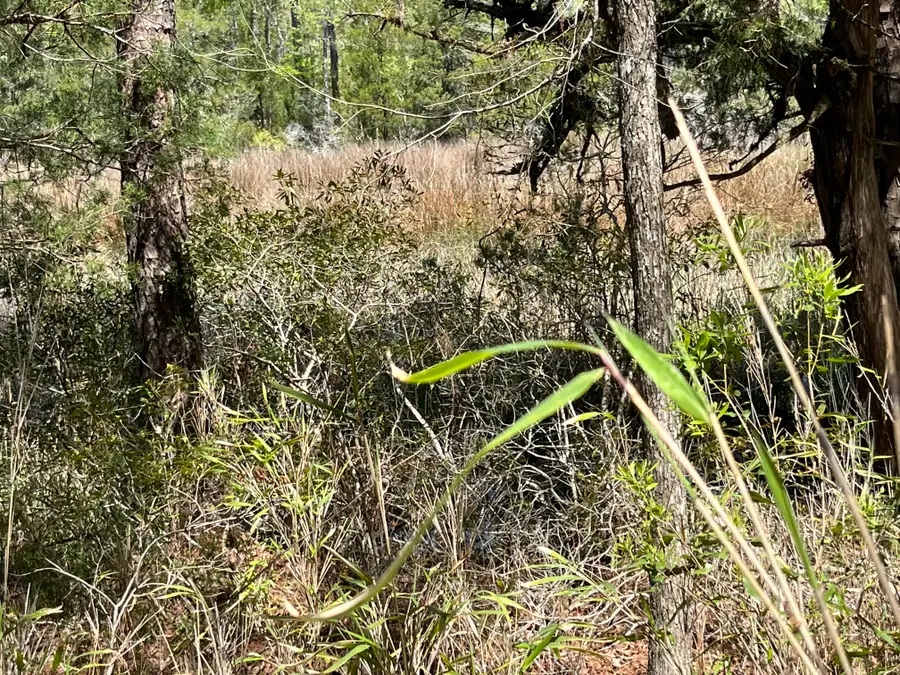 129 Winding Creek Drive, Oriental, NC 28571 - Image #3