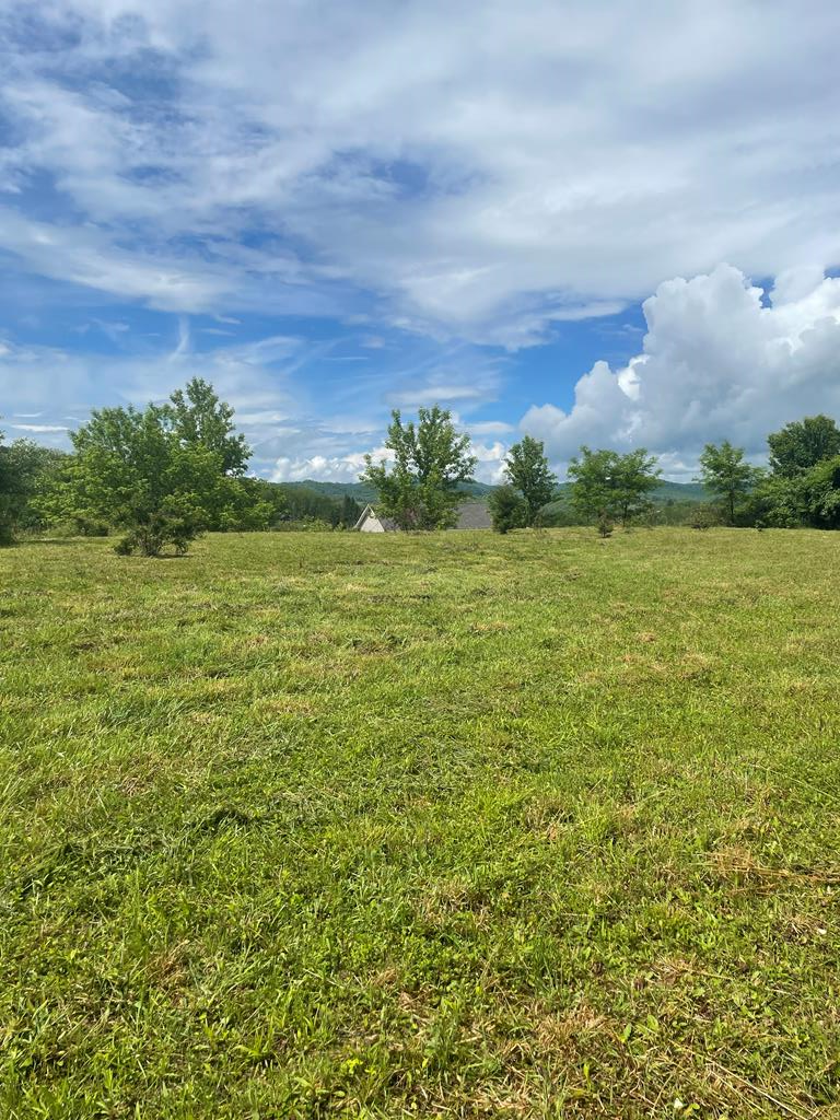 TBD Deer Ridge Trail, Tazewell, VA 24651 - Image #1