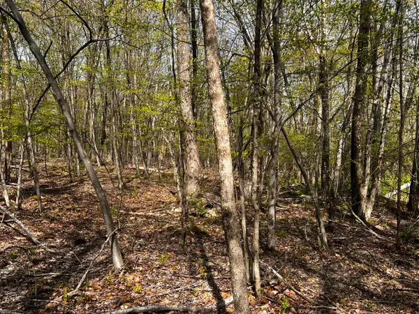 Lot 72 Larkspur/woodruff, Stroudsburg, PA 18360