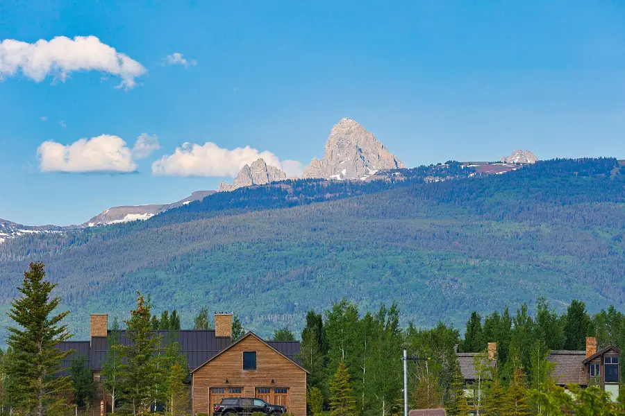 1085 Shasta Daisy Court, Driggs, ID 83422 - #2