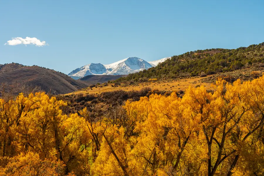 422 Sopris Creek Road, Basalt, CO 81621 - #2