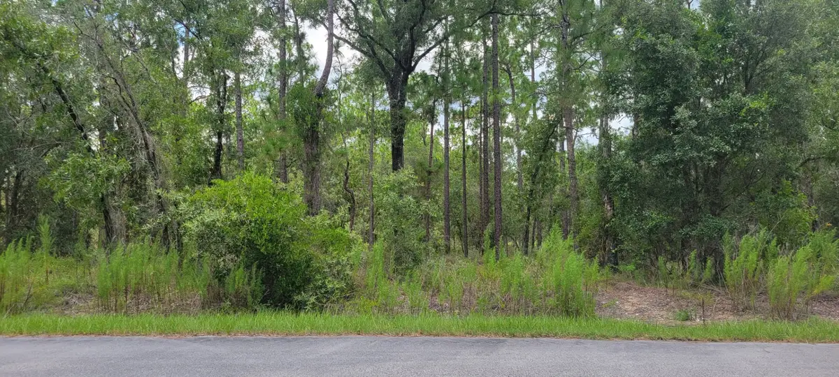 0 NW Chestnut Avenue, Dunnellon, FL 34431 - #1