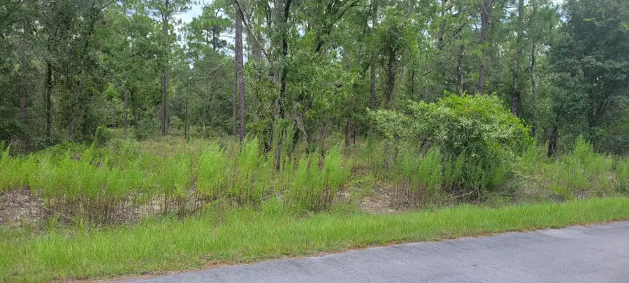 0 NW Chestnut Avenue, Dunnellon, FL 34431 - #2