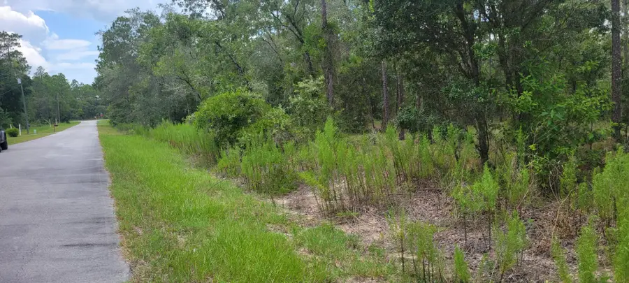 0 NW Chestnut Avenue, Dunnellon, FL 34431 - #3