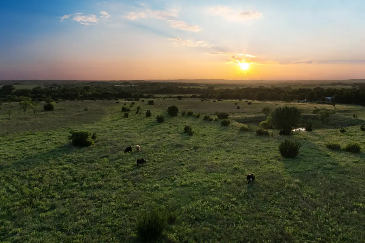 15313 Margarita Court, Lipan, TX 76462 - #1