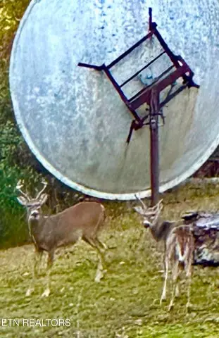 146 Tolliver Rd, Pineville, KY 40977 - #3