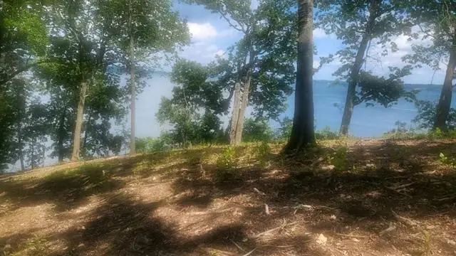 100 Highland Cove #lot 1, Florence, AL 35630 - Image #3