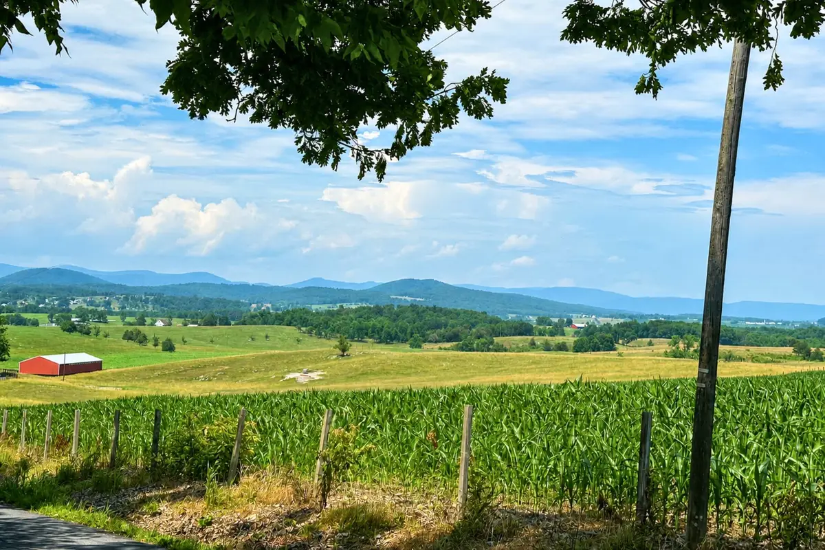 Garber Rd, Mount Jackson, VA 22842 - #1