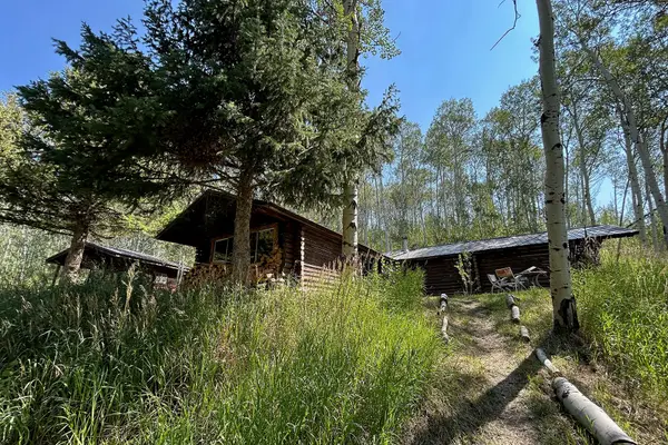 3905 W North Fork Fall Creek Road, Wilson, WY 83014