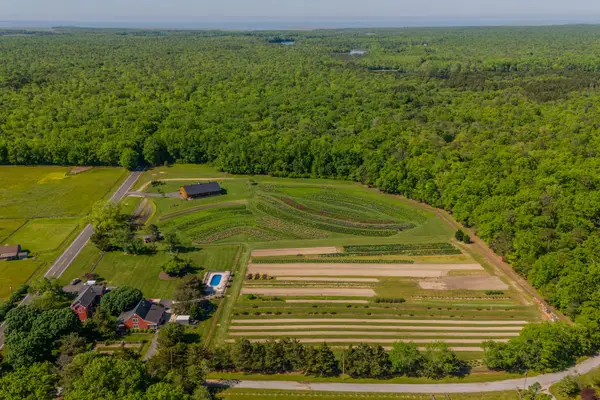 550 Hands Mill Road, Belleplain, NJ 08270