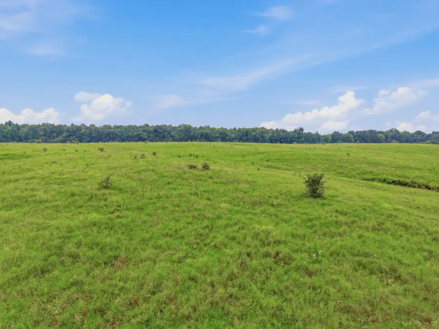 46 Caps Rd, Indian Mound, TN 37079 - #2