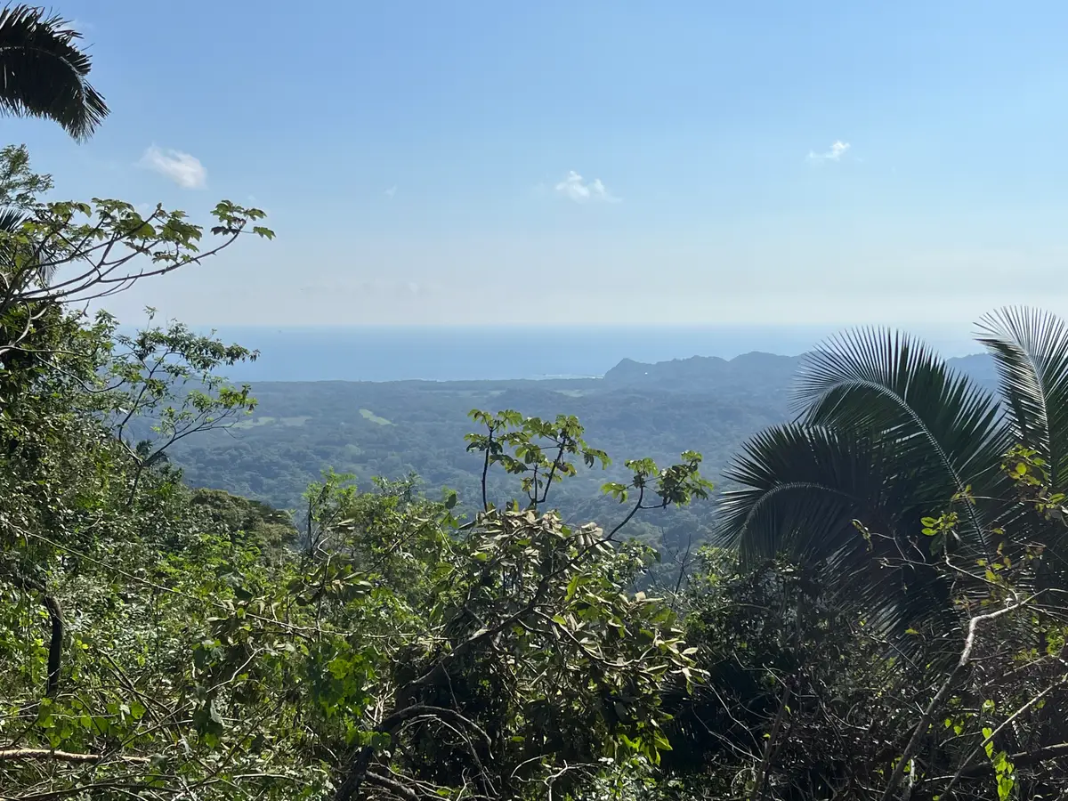 +/-58acres S Star Avenue, Eloy, AZ 85131 - Image #1