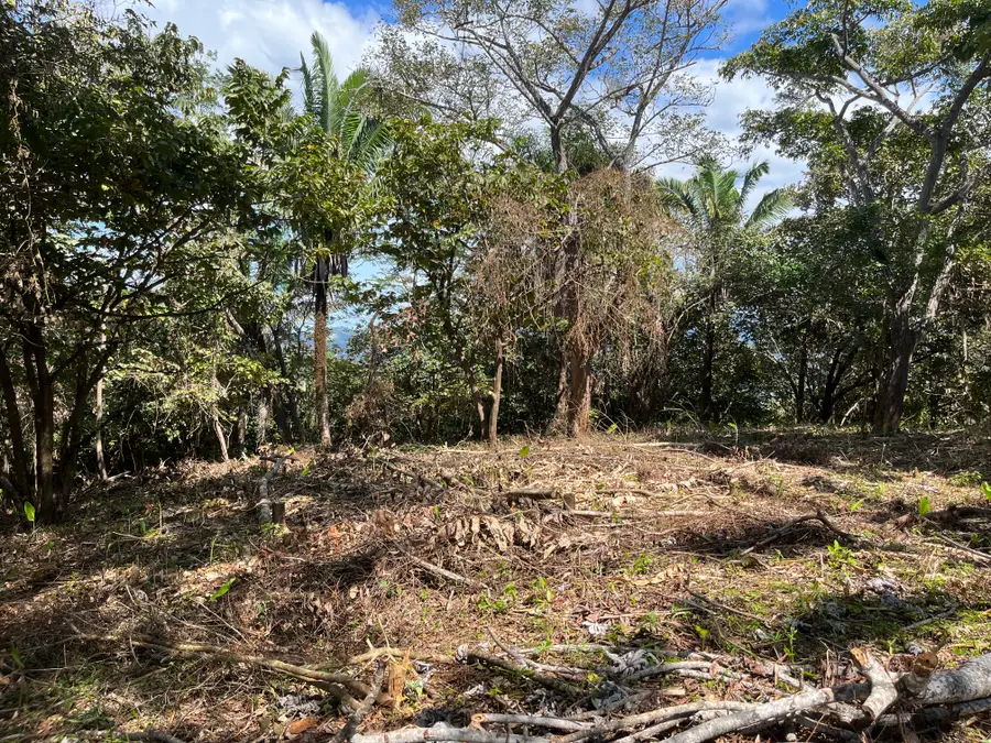 +/-58acres S Star Avenue, Eloy, AZ 85131 - Image #2