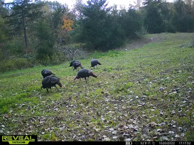 5100 Long Lake Road, Reading, MI 49274 - #3