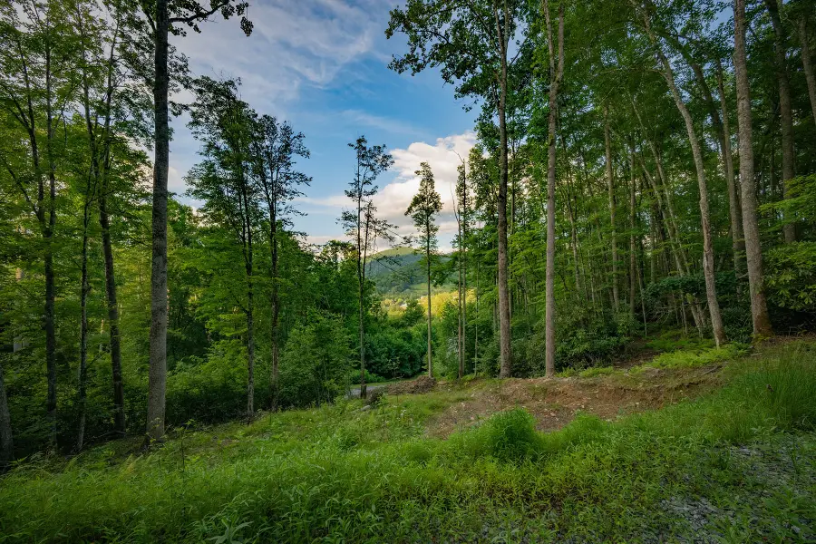 Lot 3 Elk Creek Drive, Banner Elk, NC 28604 - #2