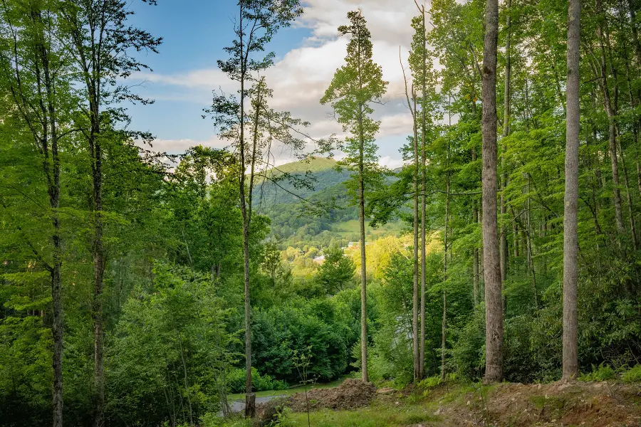Lot 3 Elk Creek Drive, Banner Elk, NC 28604 - #3