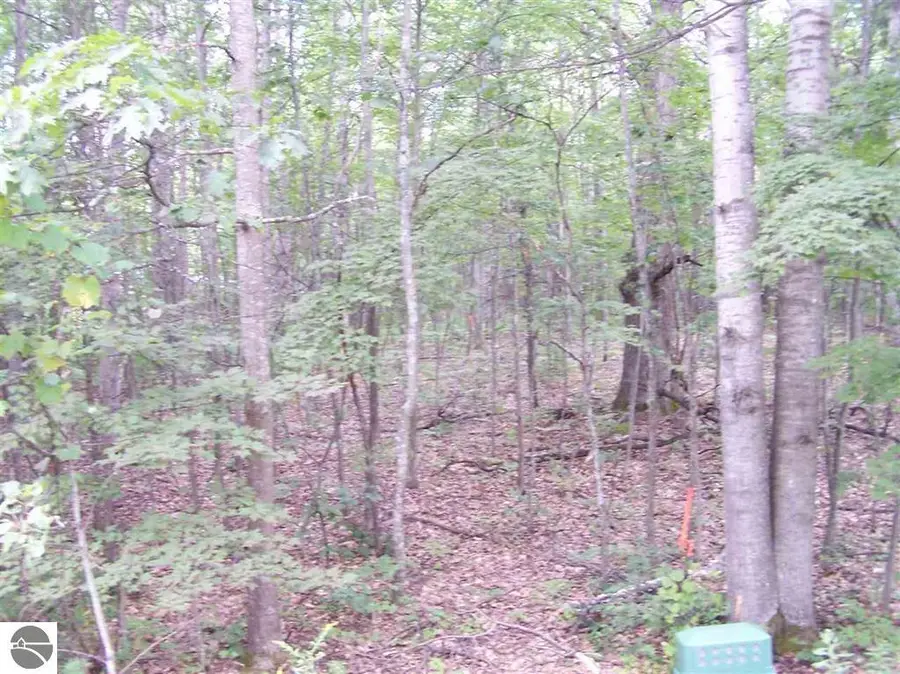 N Circle E, Farwell, MI 48622 - Image #2