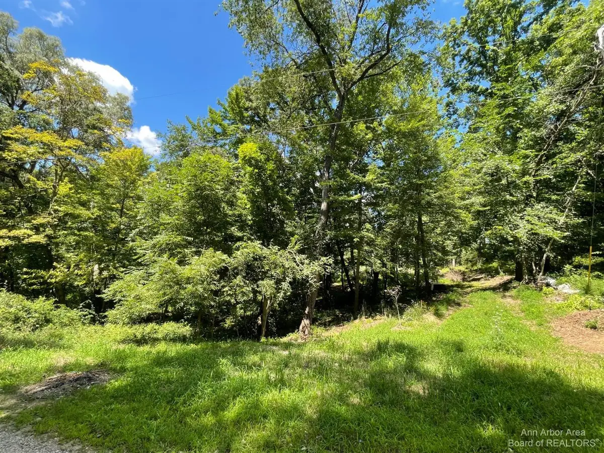 20692 Hidden Lake Drive, Gregory, MI 48137 - Image #1