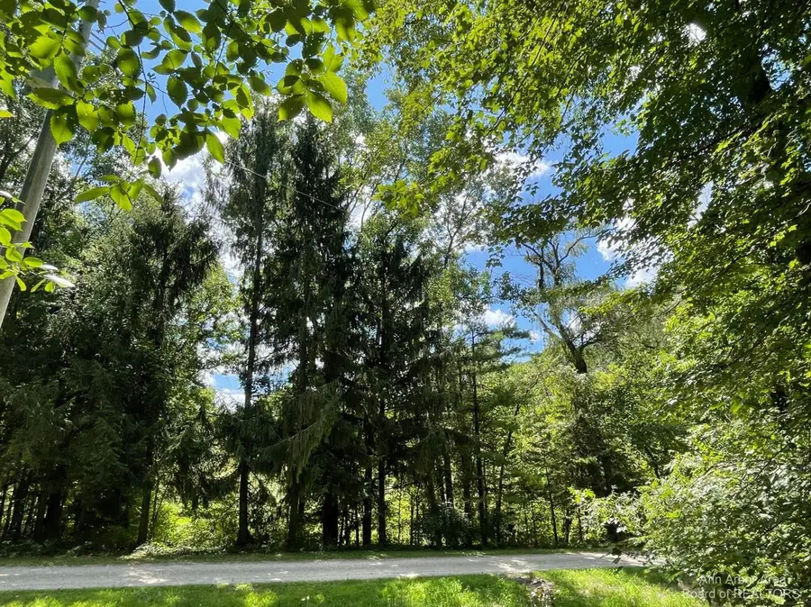 20692 Hidden Lake Drive, Gregory, MI 48137 - Image #3