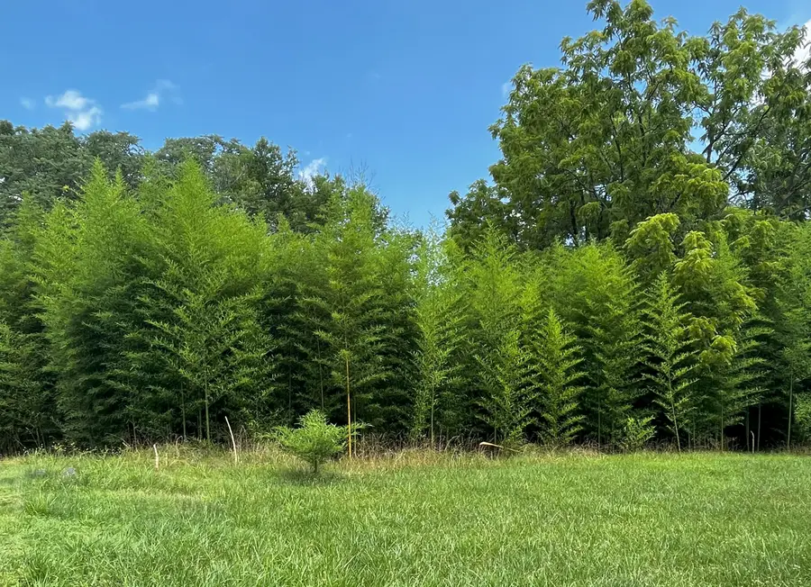 605 Selene Street, Lynchburg, VA 24503 - Image #2